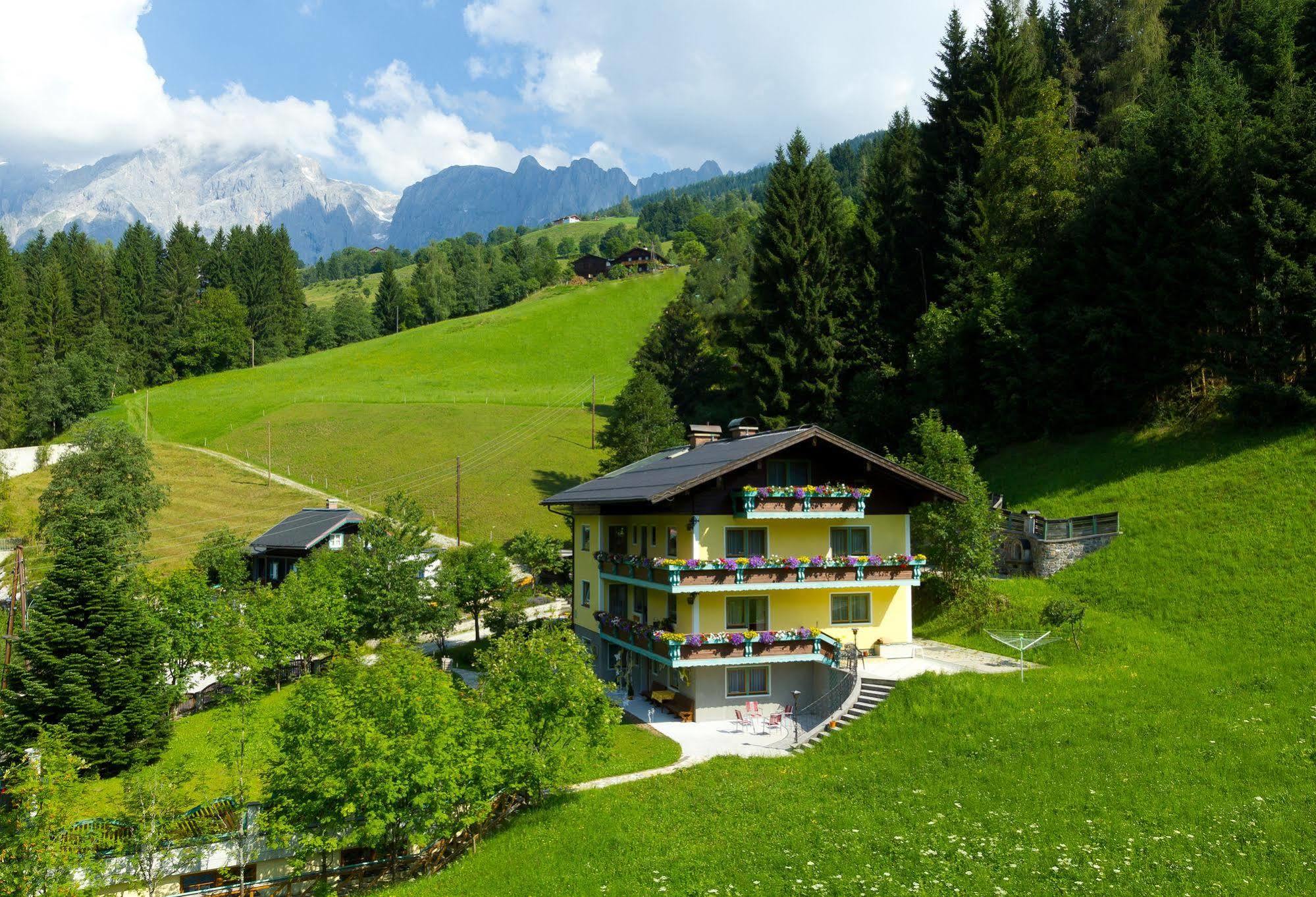 Haus Elisabeth Bed & Breakfast Muhlbach Am Hochkonig Exterior photo