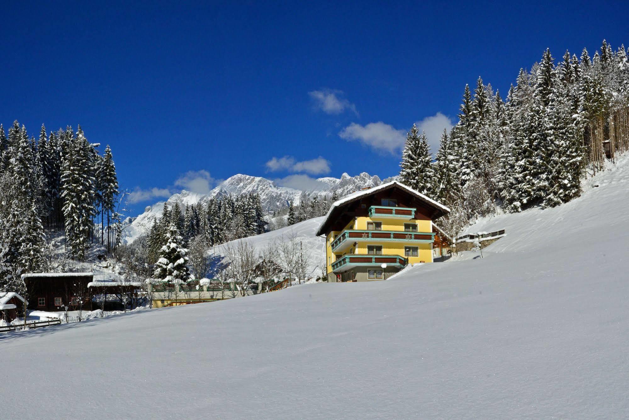 Haus Elisabeth Bed & Breakfast Muhlbach Am Hochkonig Exterior photo